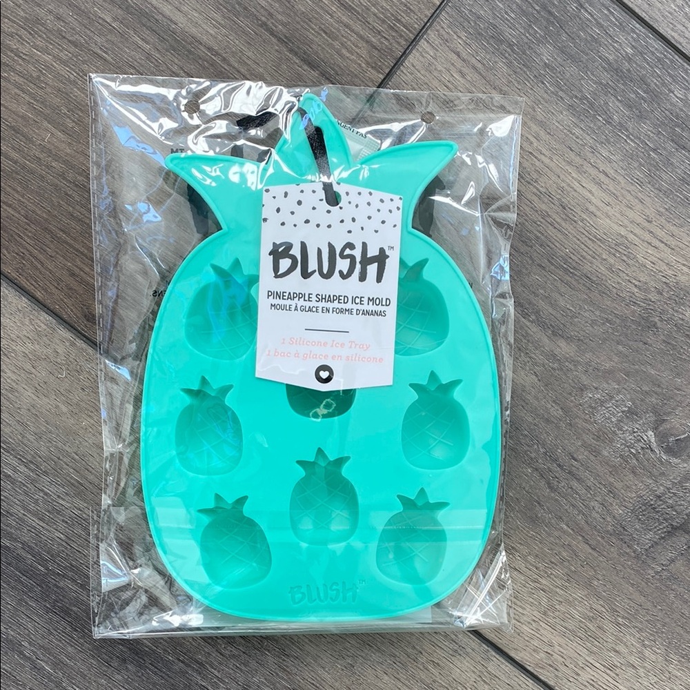 Blush Pineapple Ice Mold - Teal